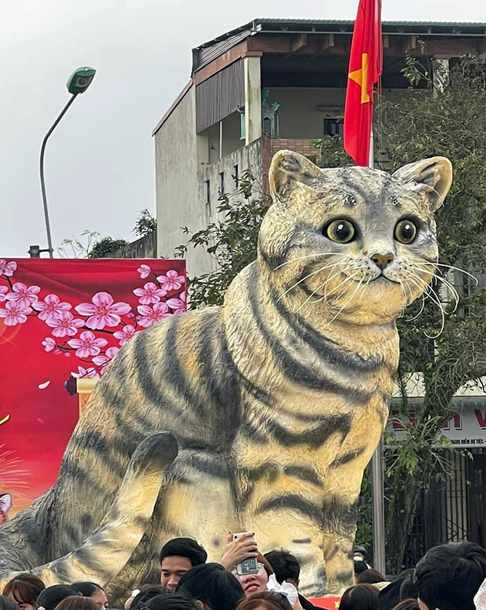 Cựu sinh viên Đại học Duy Tân là cha đẻ của 'hoa hậu mèo' 2023