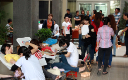 Sinh viên Duy Tân trong ngày Hiến máu Nhân đạo