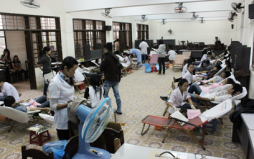 Sinh viên với một mùa Xuân hồng